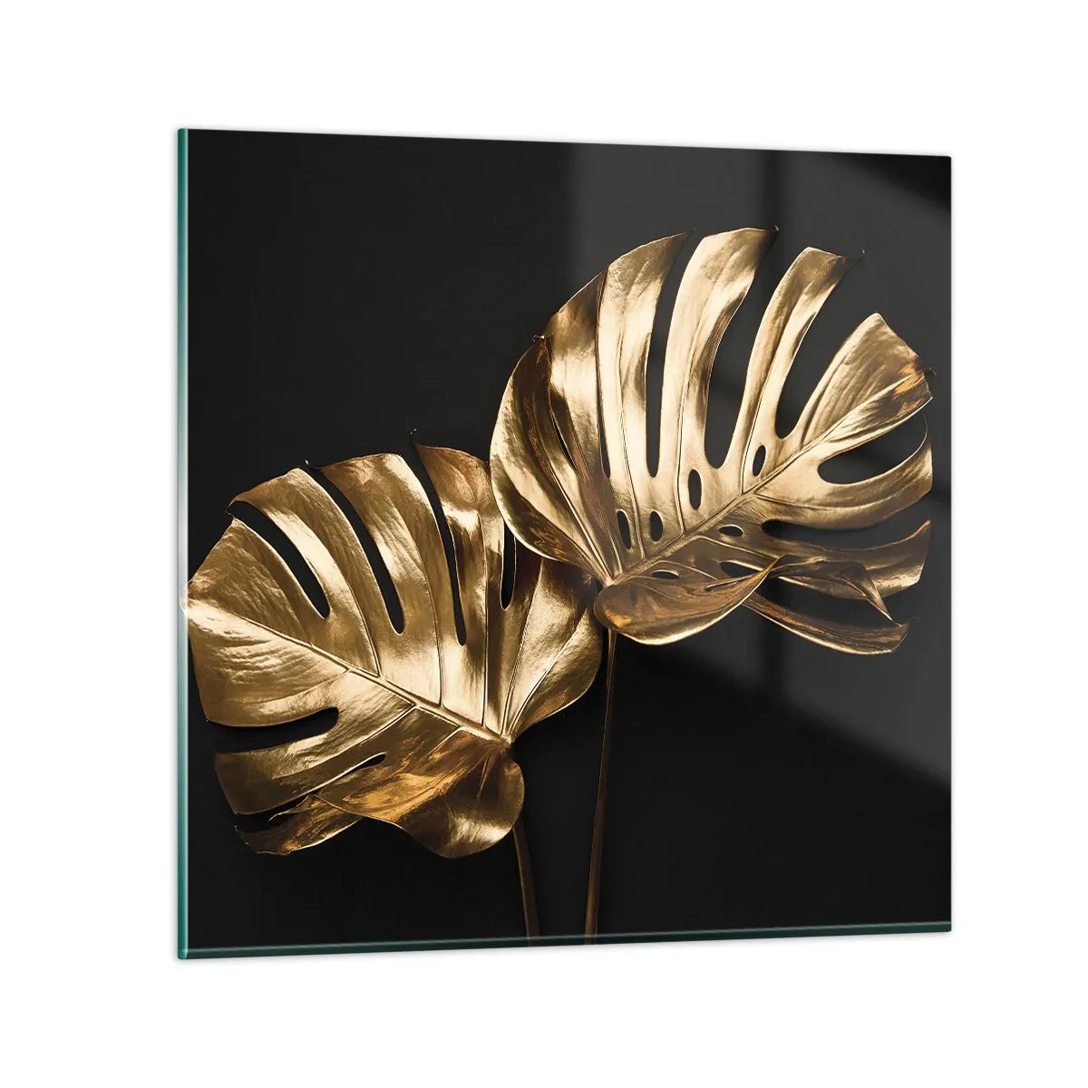 Quadro em vidro - Tesouros da natureza - 40x40 cm