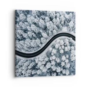 Quadro em tela - Pelaa floresta no inverno - 30x30 cm