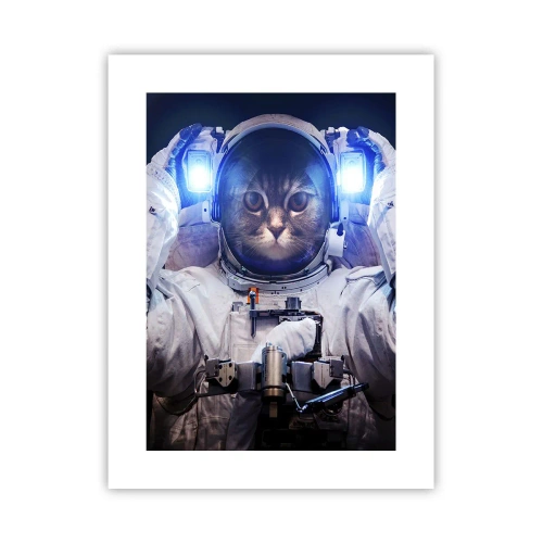 Pôster - Houston, temos um problema - 30x40 cm