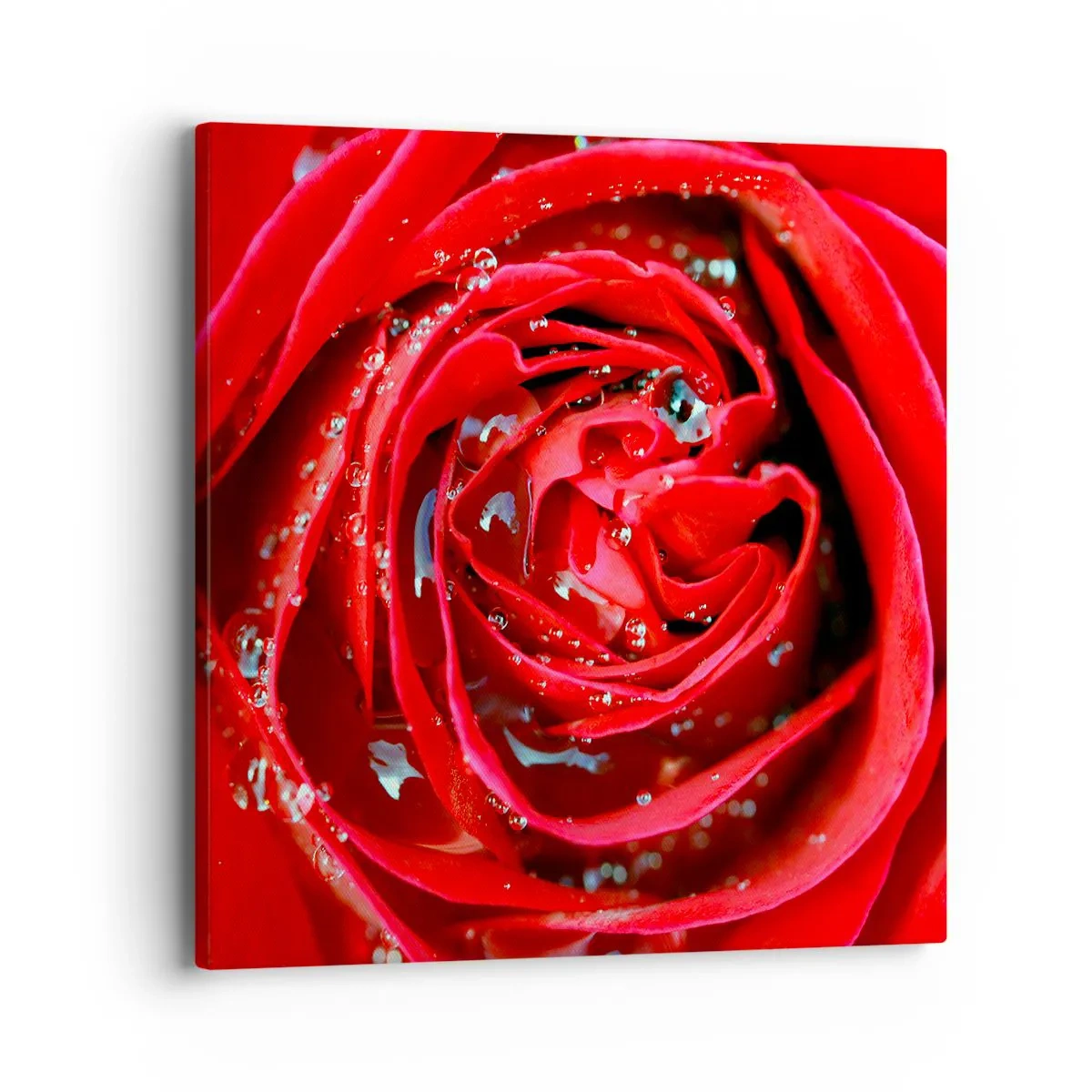 Quadro em tela - Em gotas de orvalho - 40x40 cm