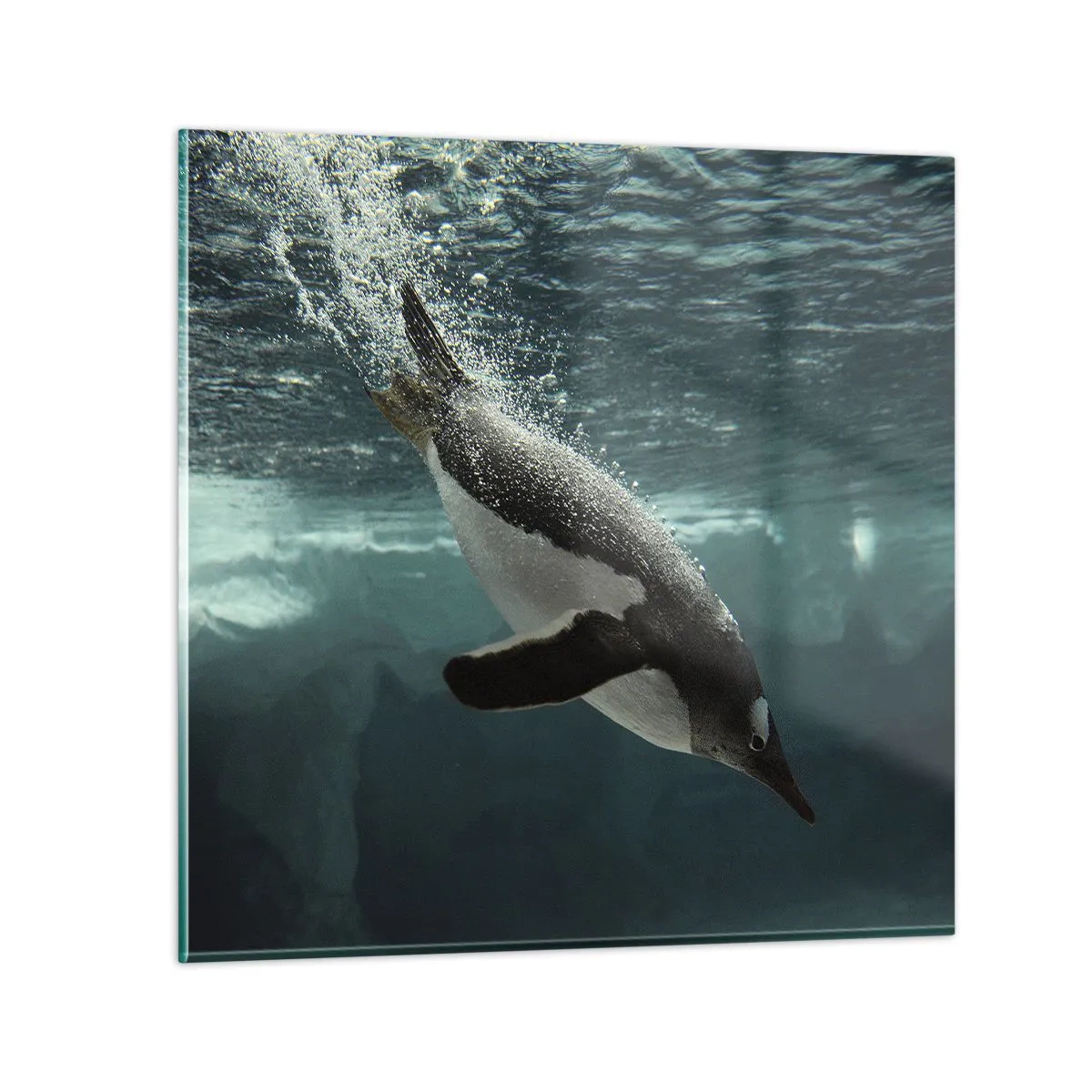 Quadro em vidro - Bem-vindo ao meu mundo - 60x60 cm