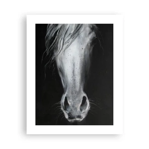 Pôster - Olhar sedutor - 40x50 cm