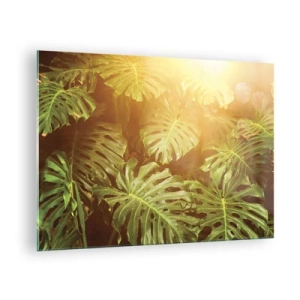 Quadro em vidro - Folhas verdes de monstera na luz dourada do sol tropical - 70x50cm - Um mergulho na vegetação - Decoração de parede moderna para a sala de estar e quarto ARTTOR