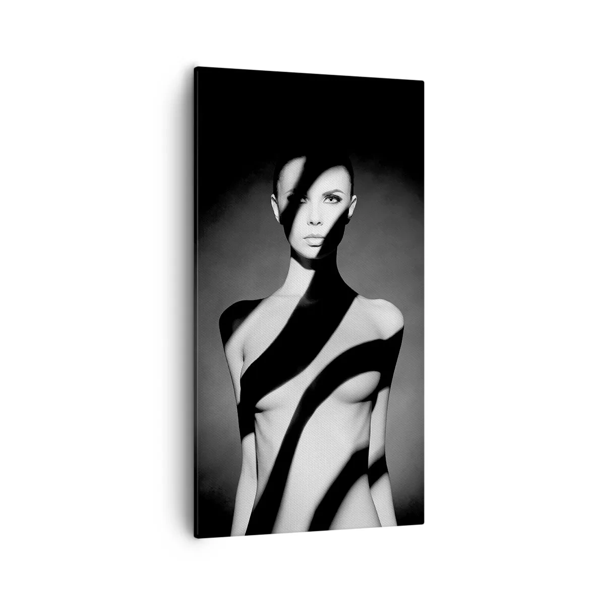 Quadro em tela - No brilho e na sombra - 55x100 cm