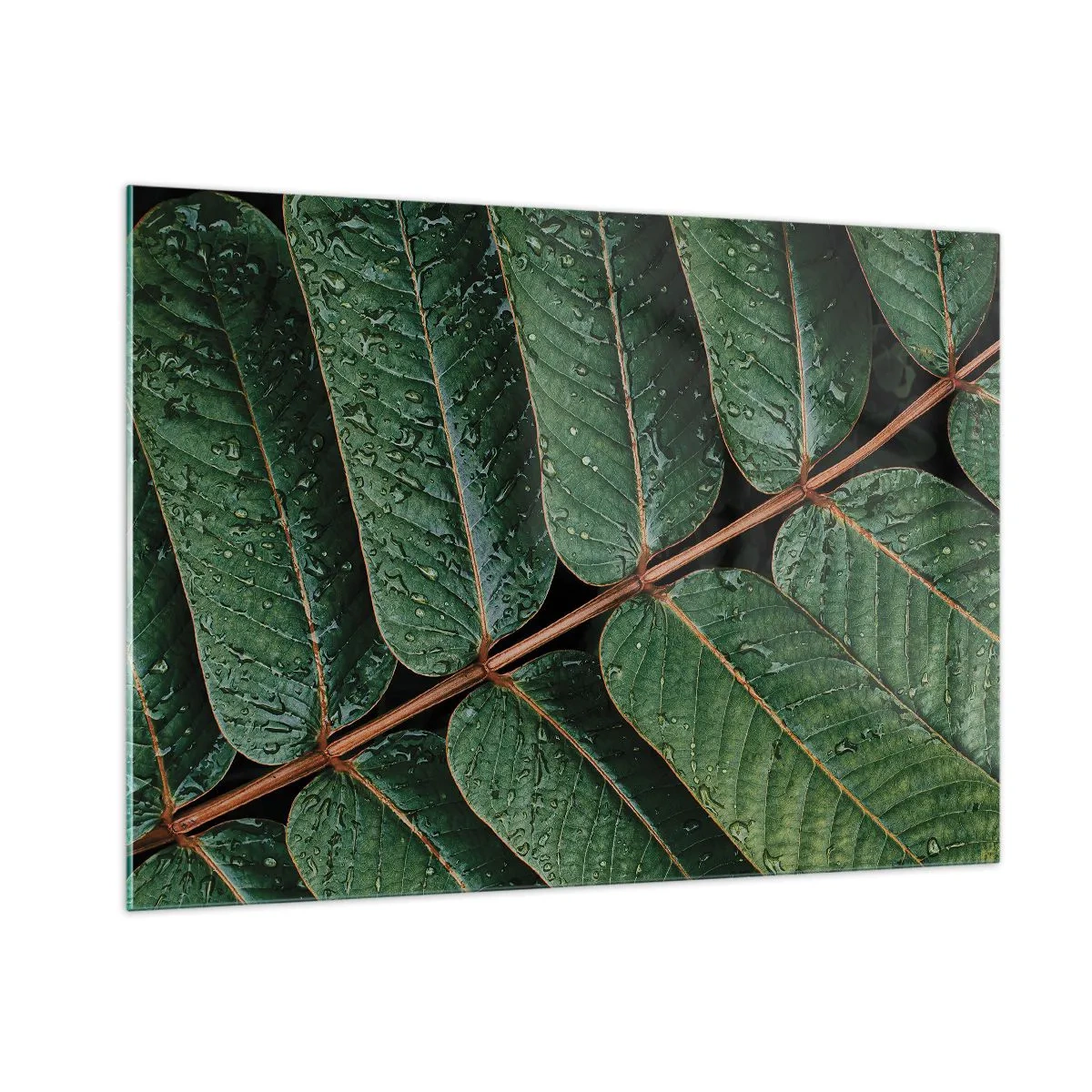 Quadro em vidro - Num ritmo verde - 100x70 cm