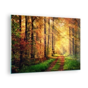 Quadro em vidro - Caminho de outono na floresta com raios de sol - 70x50cm - Silêncio dourado da floresta - Decoração de parede moderna para a sala de estar e quarto ARTTOR