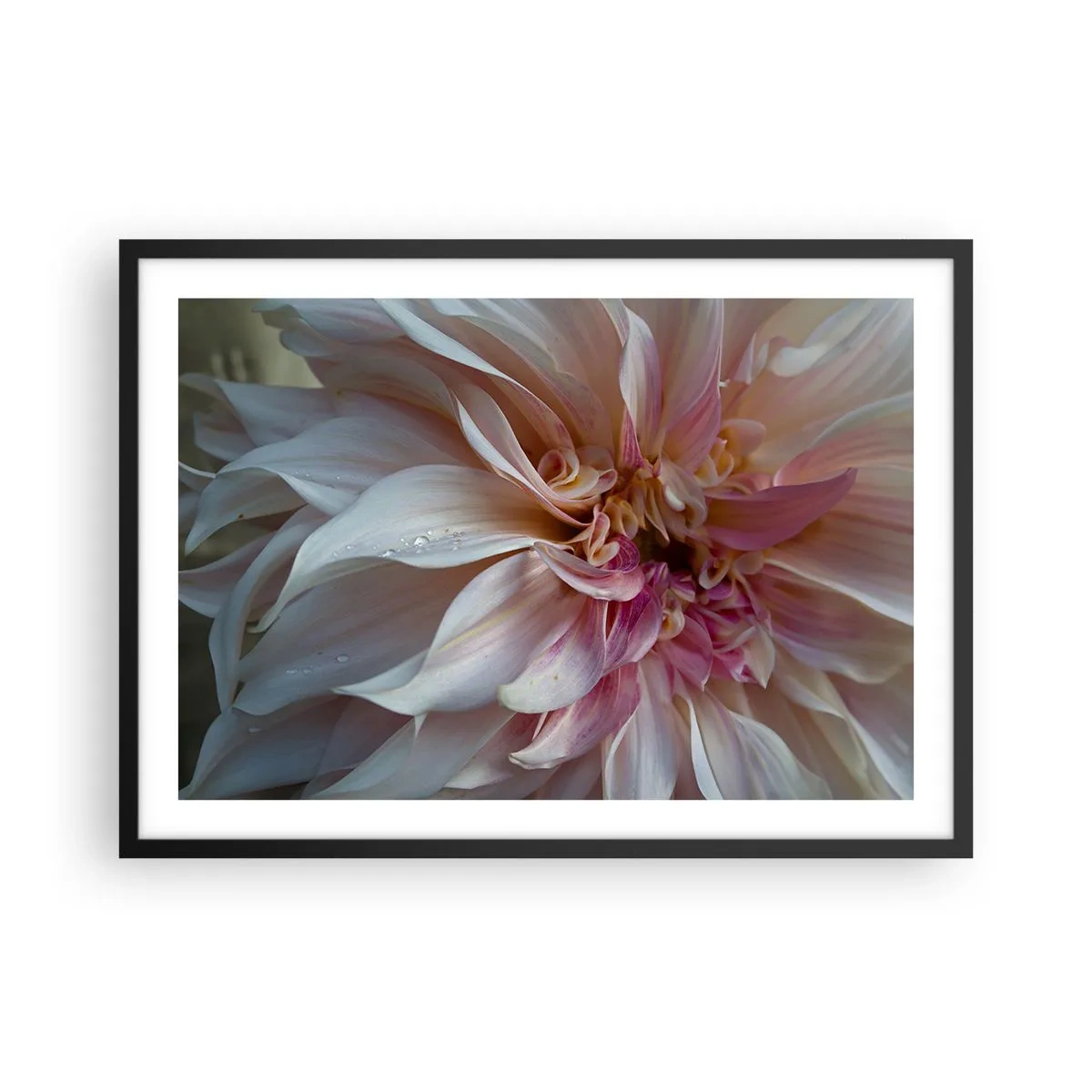 Pôster com moldura preta - Frescor florescente - 70x50 cm