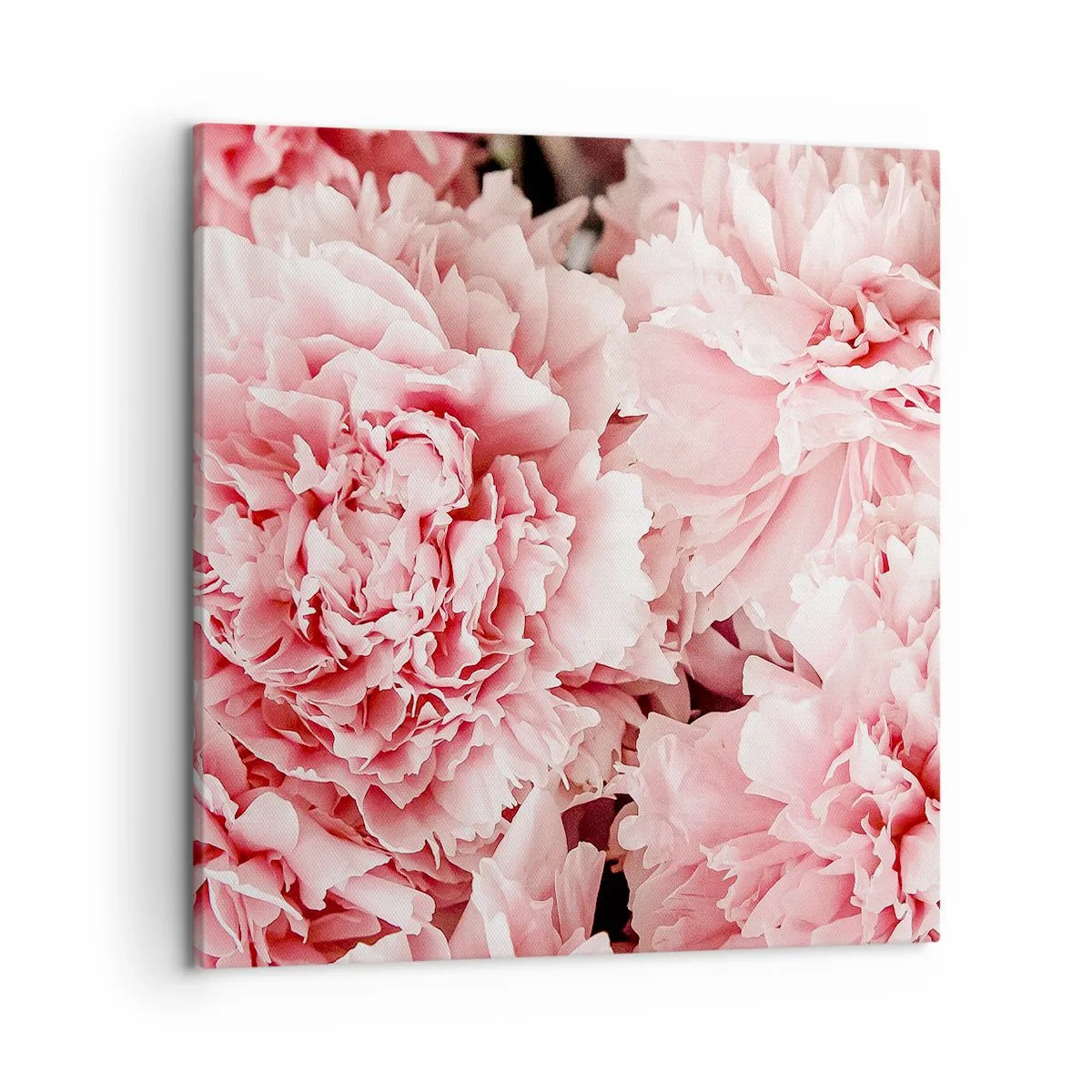 Quadro em tela - Sonho rosa - 50x50 cm