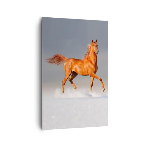 Quadro em tela - Graça Dançante - 80x120 cm