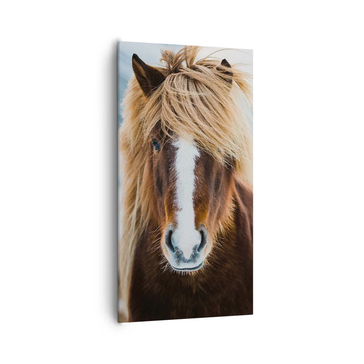 Quadro em tela - Sentes a liberdade? - 65x120 cm