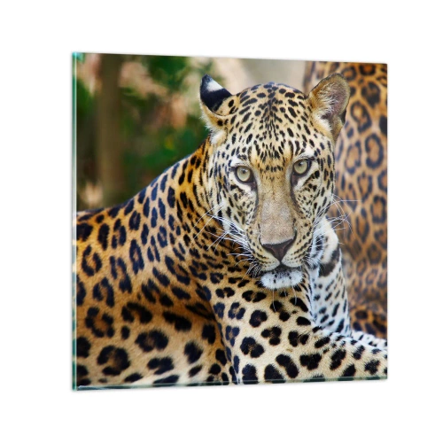 Quadro em vidro - Selvagem e tranquilo - 50x50 cm