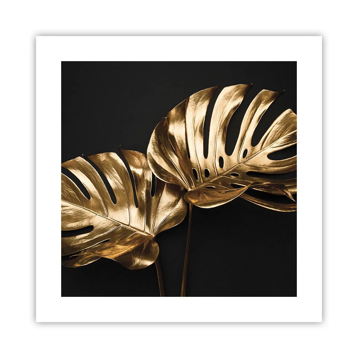 Pôster - Tesouros da natureza - 40x40 cm