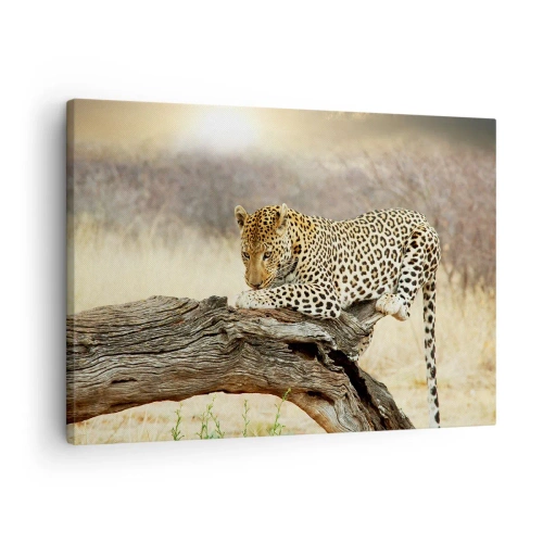 Quadro em tela - Um leopardo descansando no tronco de uma árvore na savana - 70x50cm - Eu sigo o meu próprio caminho - Decoração de parede moderna para a sala de estar e quarto ARTTOR