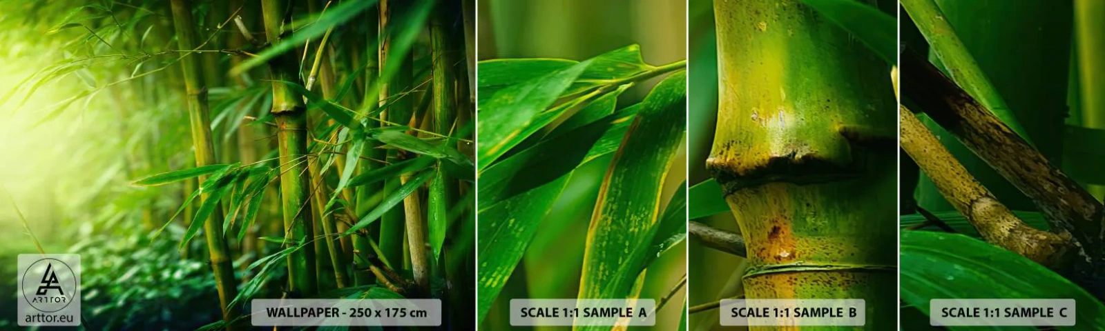 Amostra de Papel de Parede Standard Eco - Conheça a vegetação - Plantar, Bambu, Selva - 100x30 cm
