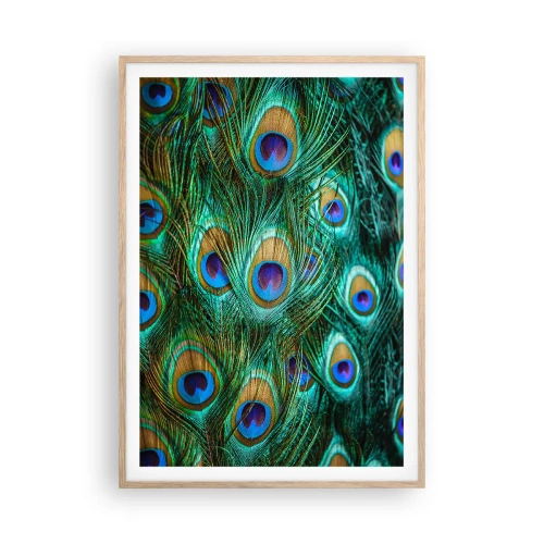 Pôster com moldura de carvalho claro - Um olhar de pavão - 70x100 cm