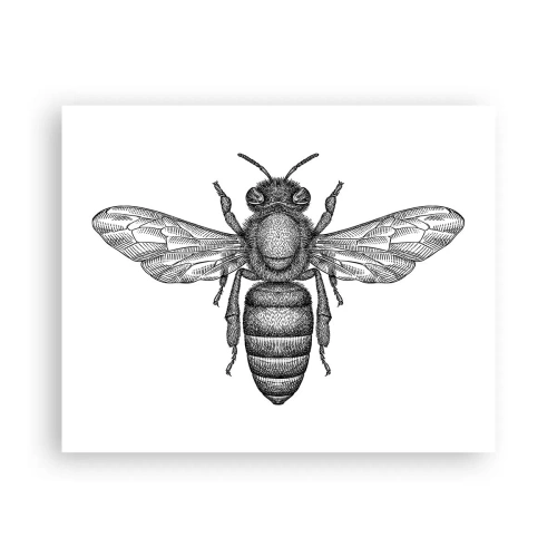 Pôster - Retrato de um inseto - 50x40 cm