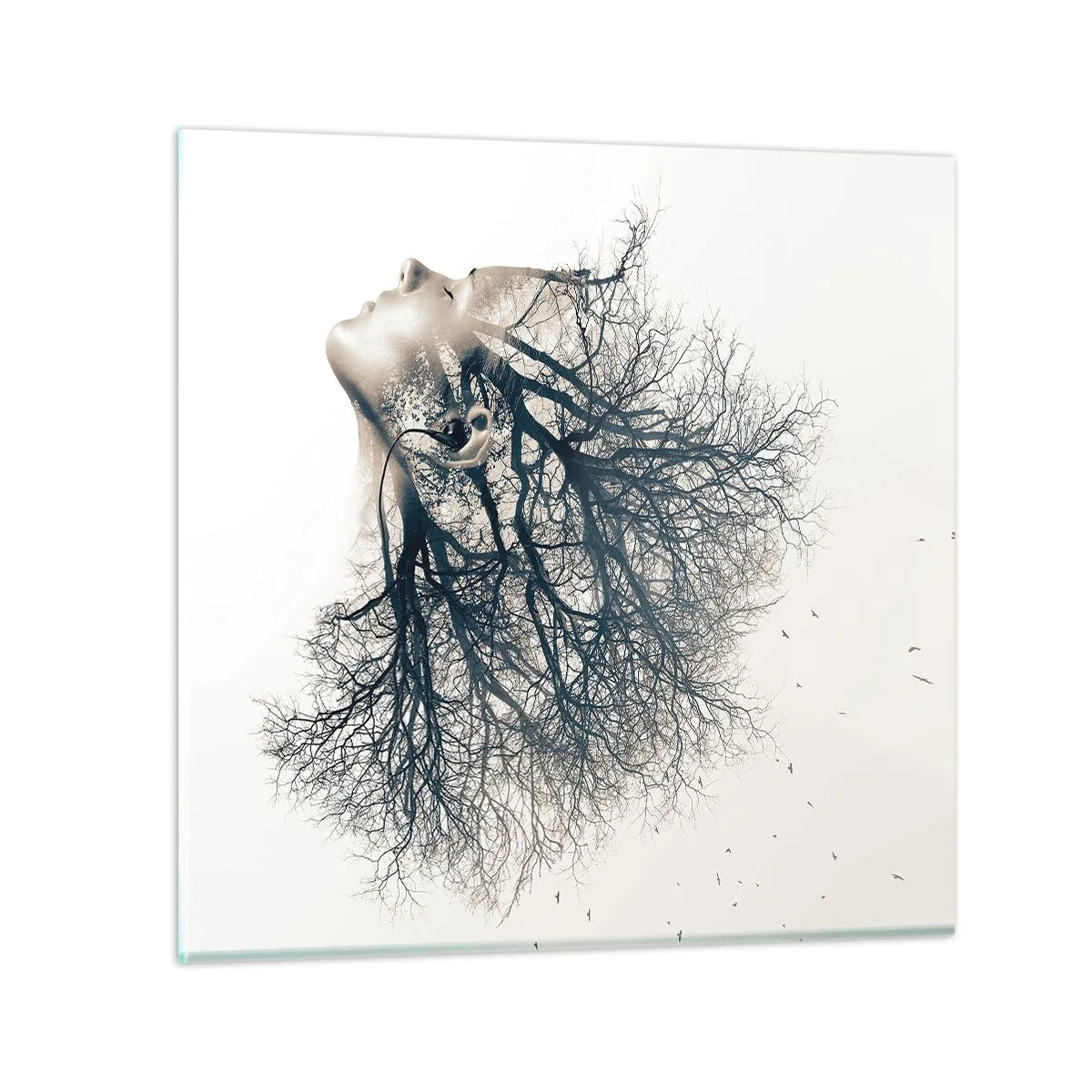 Quadro em vidro - Ouvir o sussurro da árvore - 50x50 cm