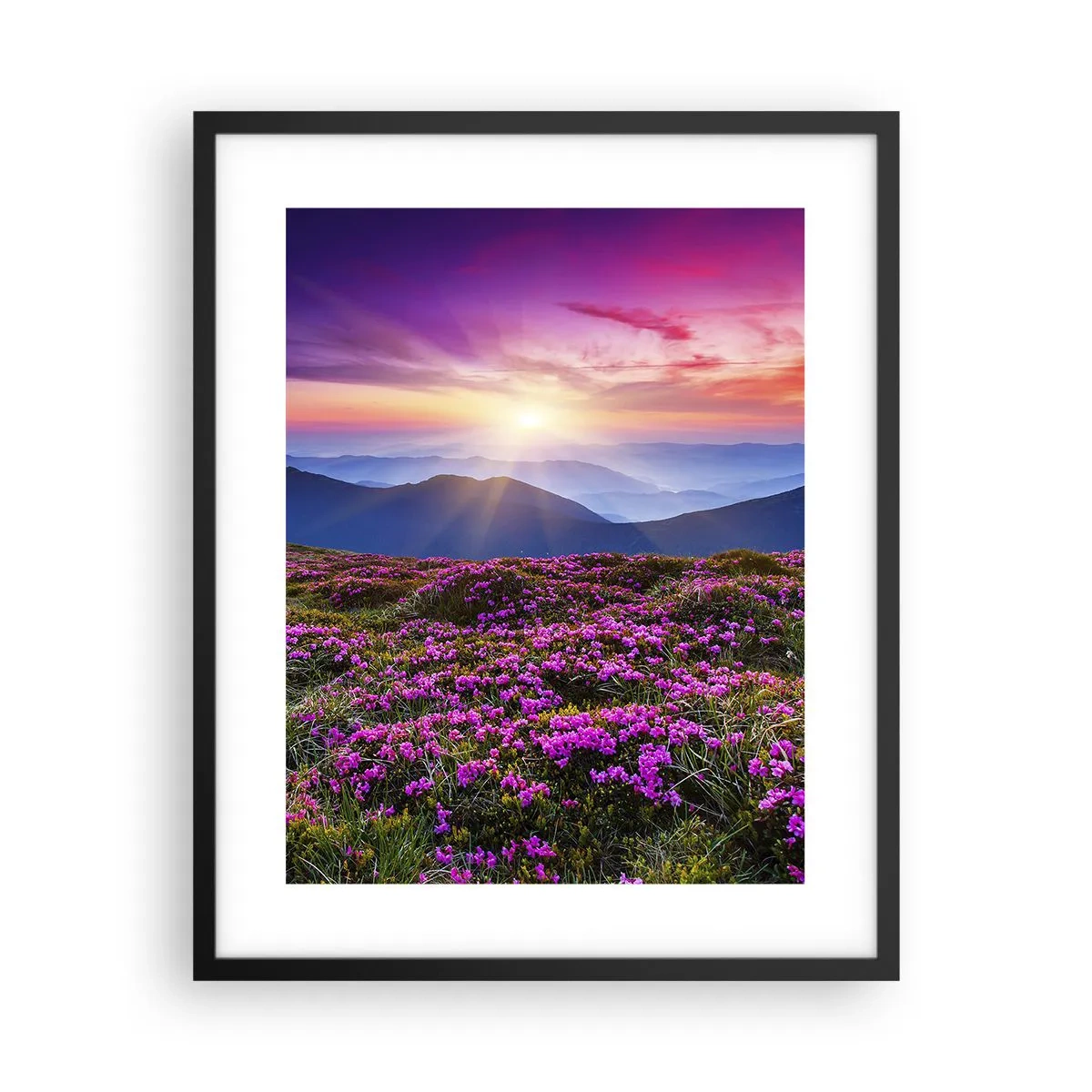 Pôster com moldura preta - Campo cheiroso - 40x50 cm