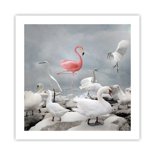 Pôster - Como vim parar aqui? - 50x50 cm