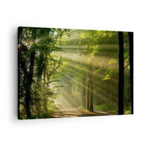 Quadro em tela - Caminho na floresta com raios de sol brilhando através das árvores - 70x50cm - Momento florestal - Decoração de parede moderna para a sala de estar e quarto ARTTOR