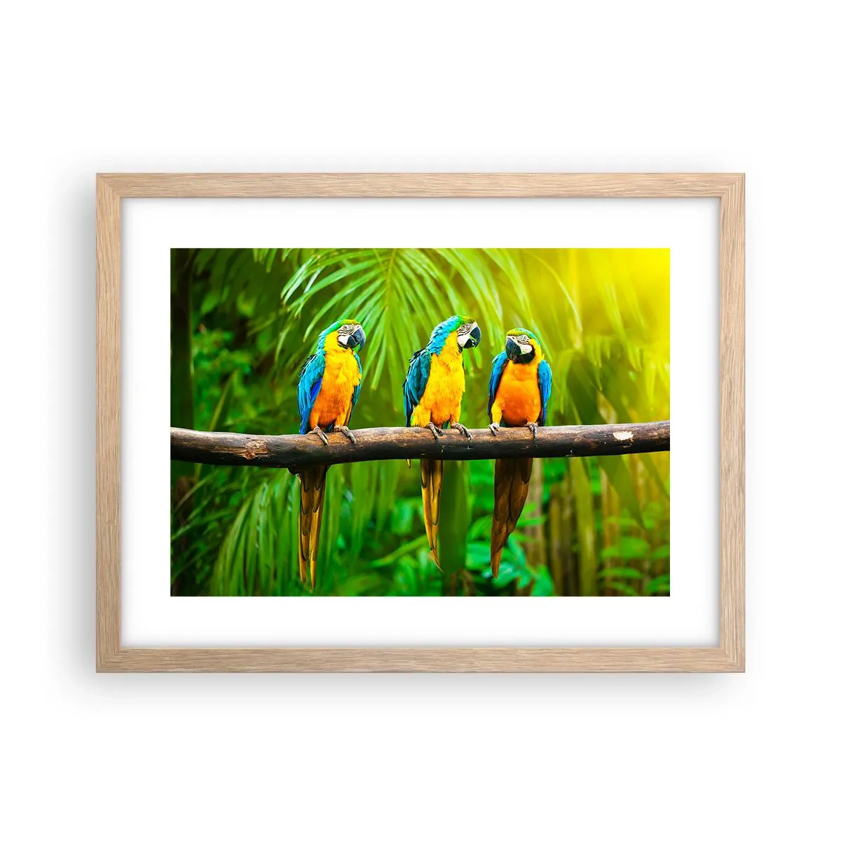 Pôster com moldura de carvalho claro - E ouviste dizer que ela...? - 40x30 cm