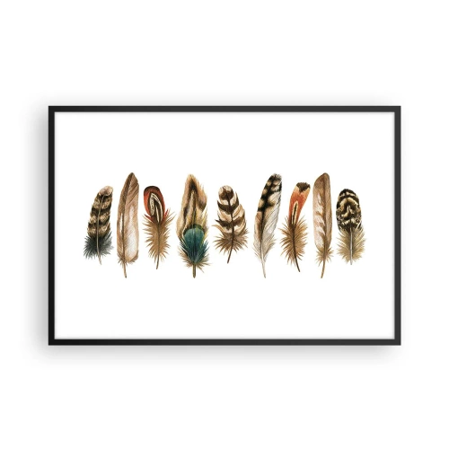 Pôster com moldura preta - Variações de penas - 91x61 cm