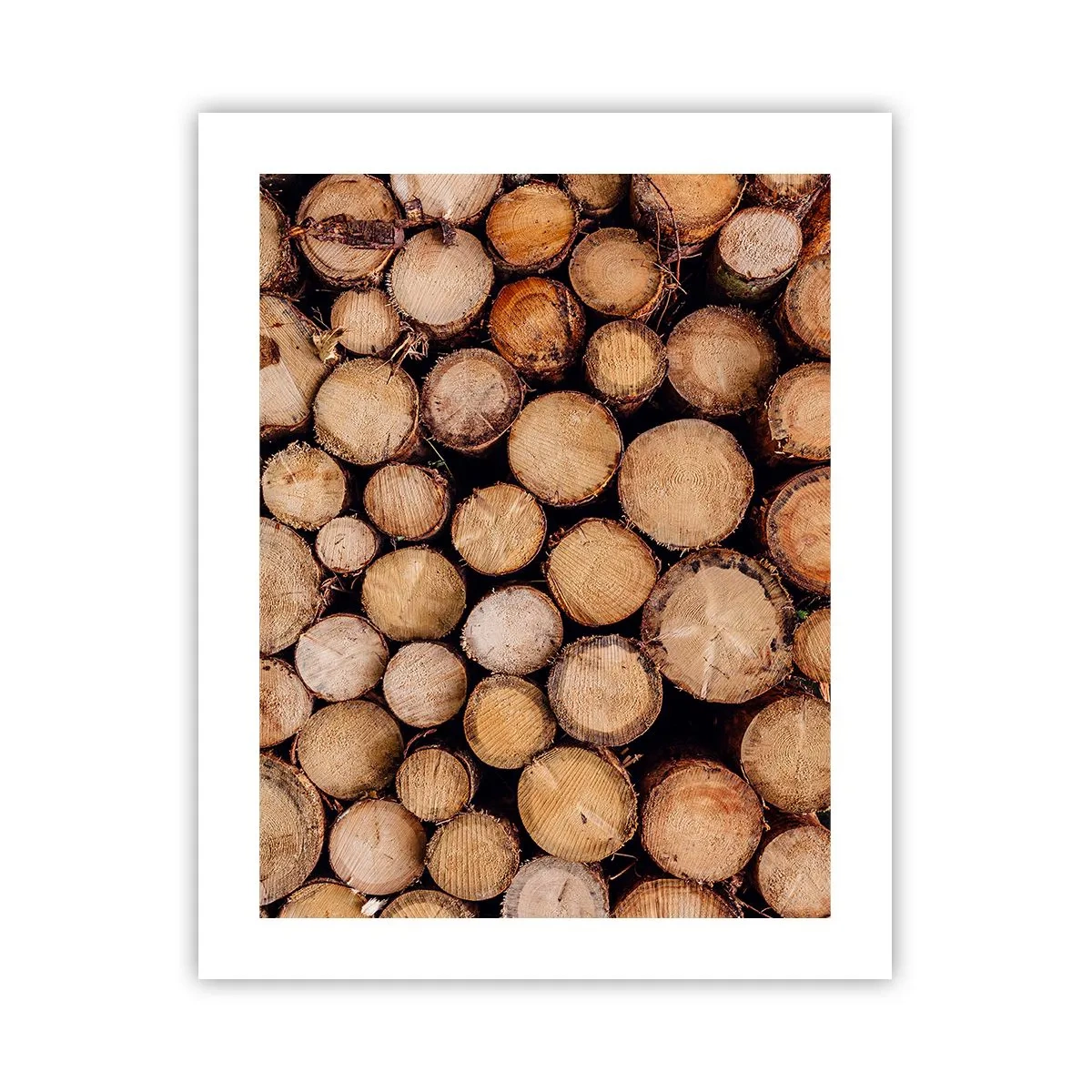 Pôster - Um novo começo - 40x50 cm