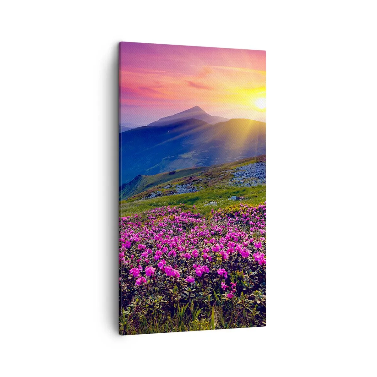 Quadro em tela - …Cheiro de pinheiros e ervas da montanha - 45x80 cm