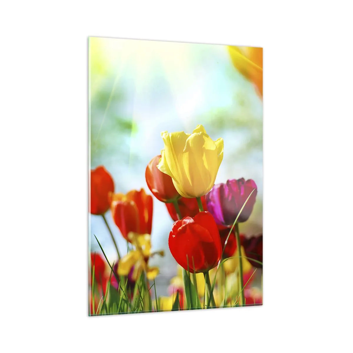 Quadro em vidro - Todas as cores do sol - 50x70 cm