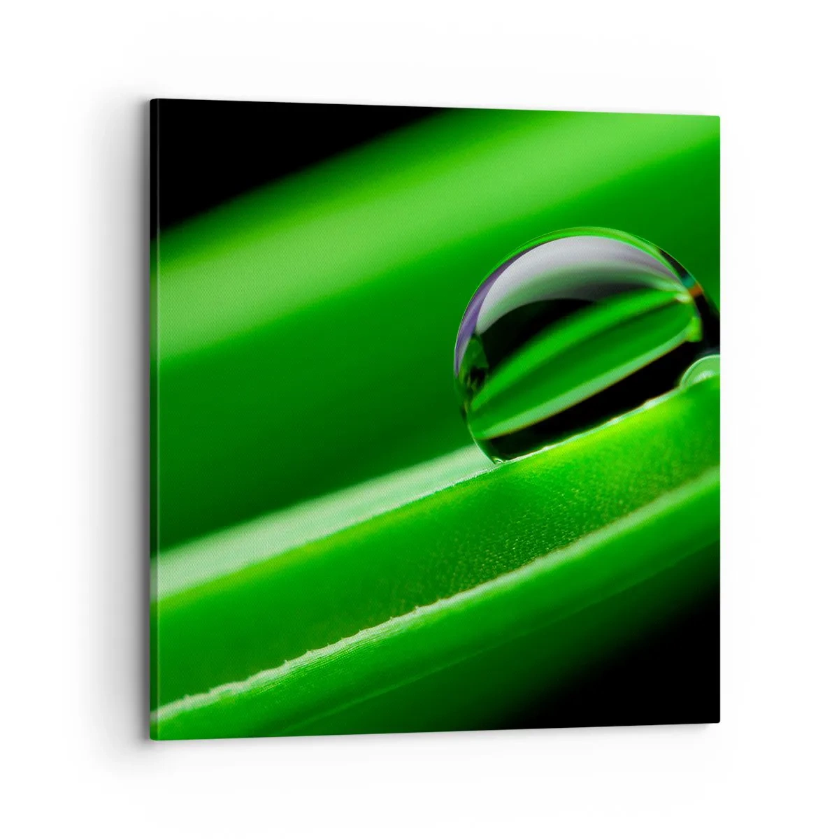 Quadro em tela - A vida de perto - 70x70 cm