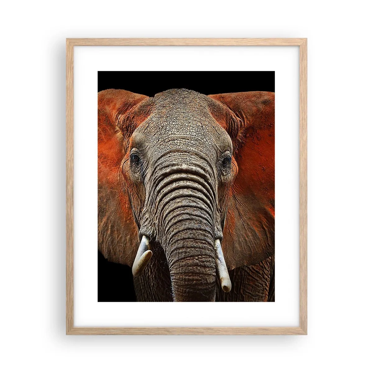 Pôster com moldura de carvalho claro - Eu sou selvagem, e você? - 40x50 cm