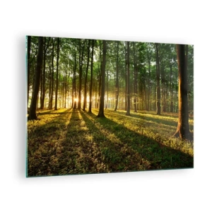 Quadro em vidro - Uma clareira na floresta iluminada pelos raios do sol nascente - 70x50cm - Fotografia de todas as primaveras - Decoração de parede moderna para a sala de estar e quarto ARTTOR
