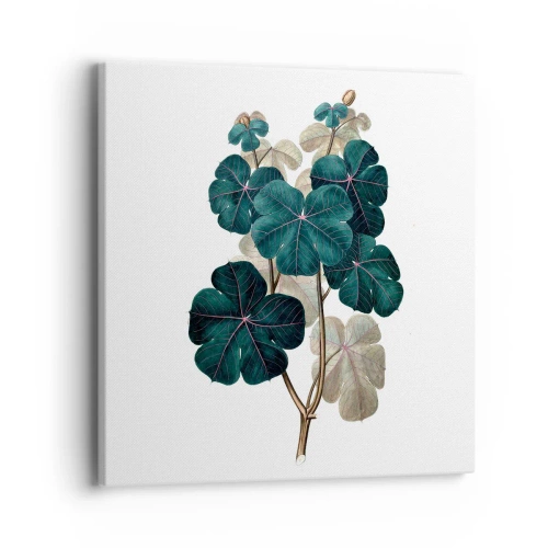 Quadro em tela - Do antigo herbário - 40x40 cm