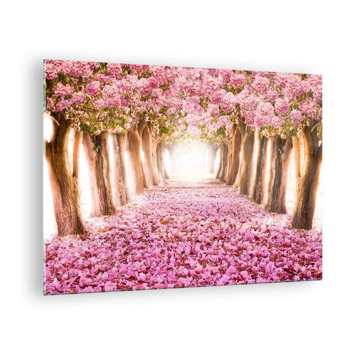 Quadro em vidro - Uma avenida de árvores floridas com pétalas de rosa no chão - 70x50cm - O Caminho para o Paraíso - Decoração de parede moderna para a sala de estar e quarto ARTTOR