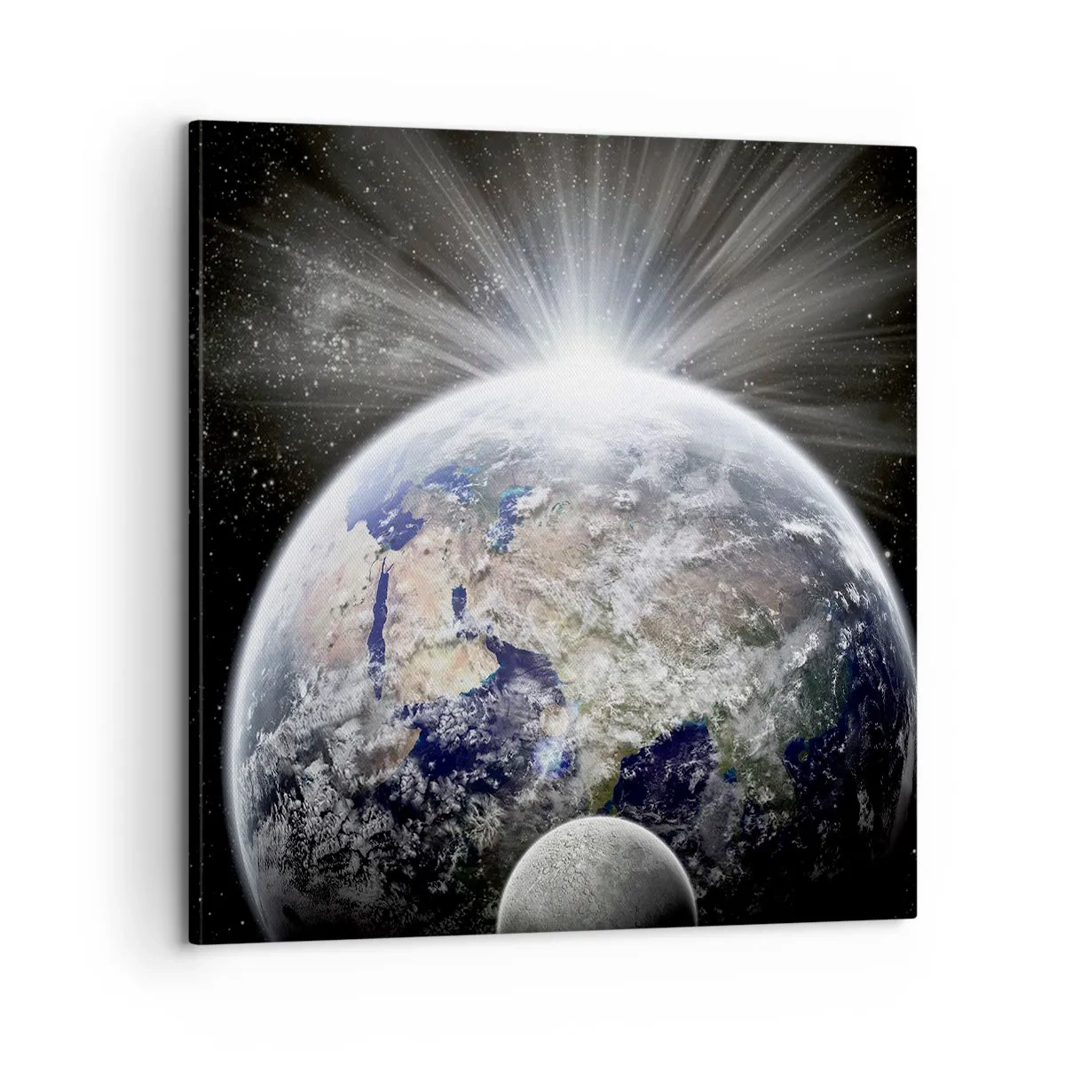 Quadro em tela - Em pleno esplendor - 60x60 cm