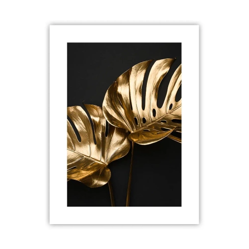 Pôster - Tesouros da natureza - 30x40 cm