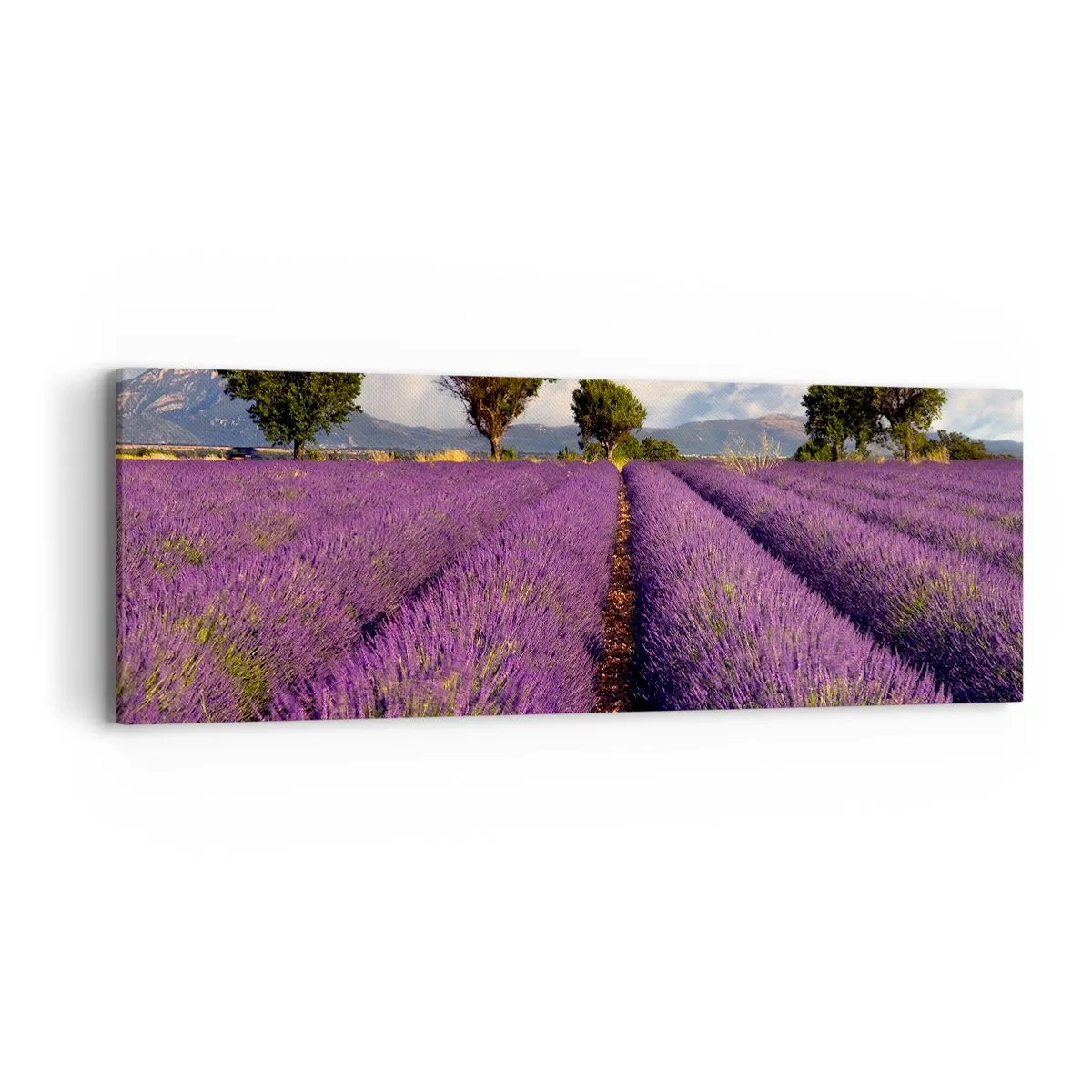 Quadro em tela - Prados de lavanda - 90x30 cm