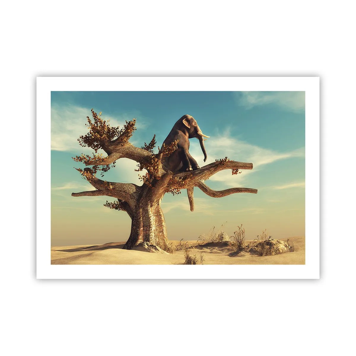 Pôster - Um novo ponto de vista - 70x50 cm