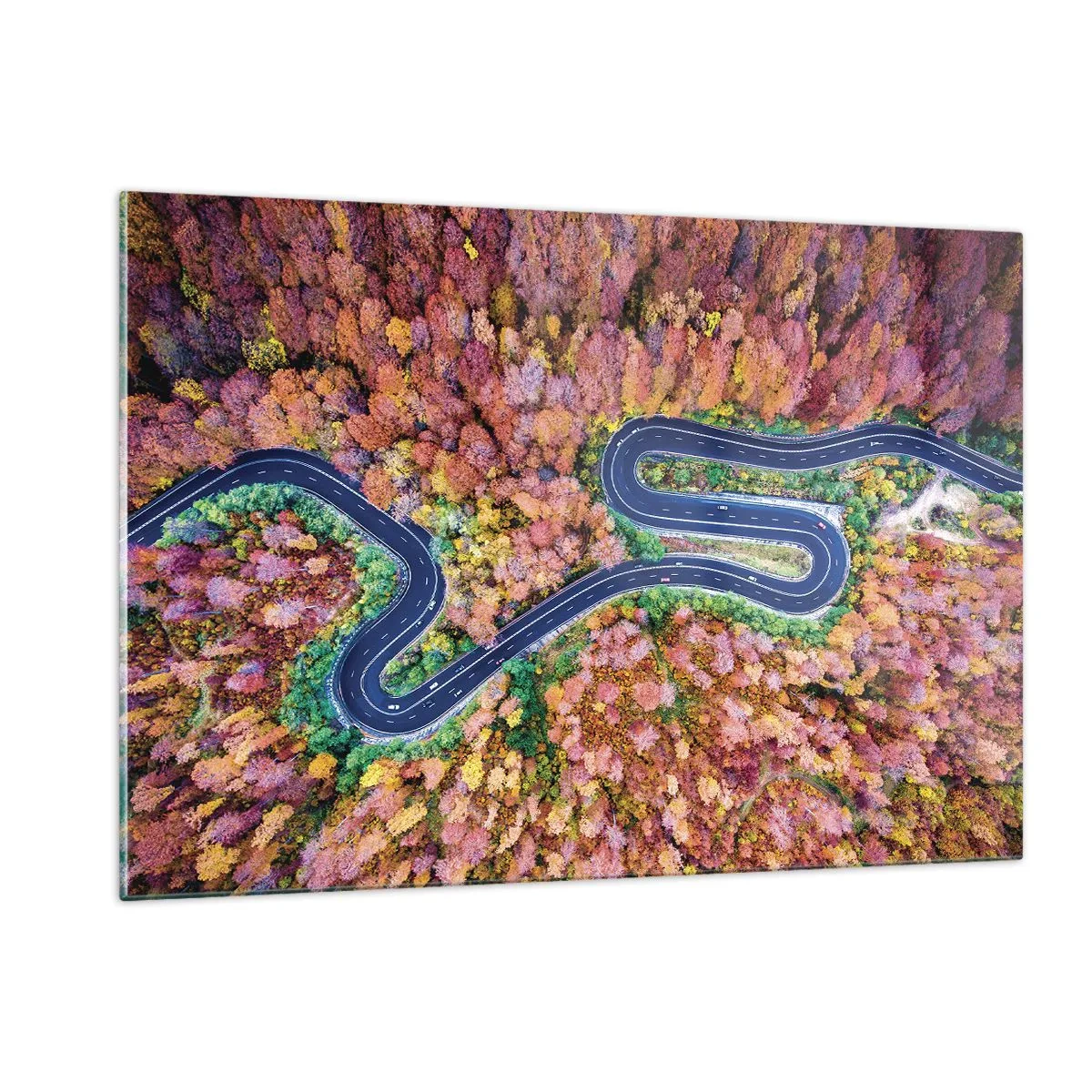Quadro em vidro - Estrada sinuosa pela floresta - 120x80 cm