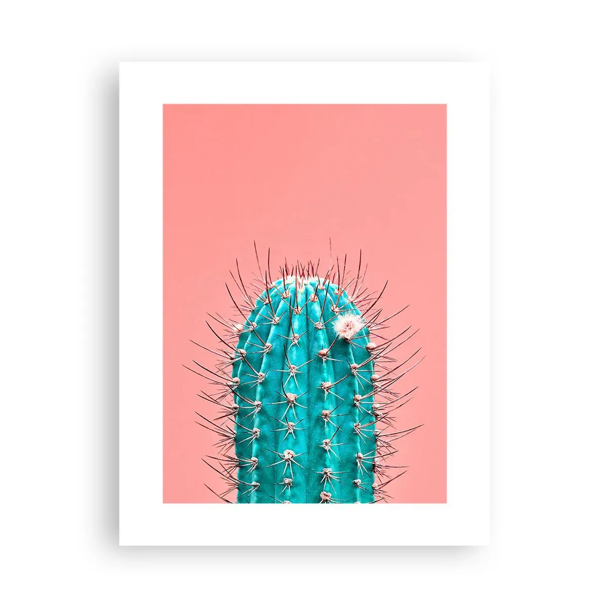 Pôster - Apenas olhe - 30x40 cm