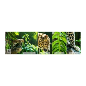 Amostra de papel de parede autocolante Deluxe Sticker - Vamos caçar? - Selva, leopardo, Trópicos - 100x30 cm