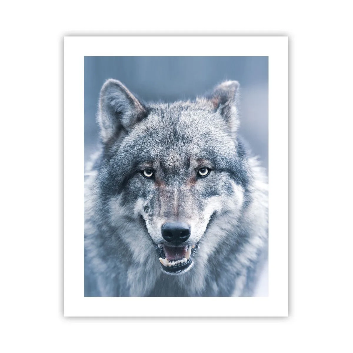 Pôster - Vai aceitar o desafio? - 40x50 cm