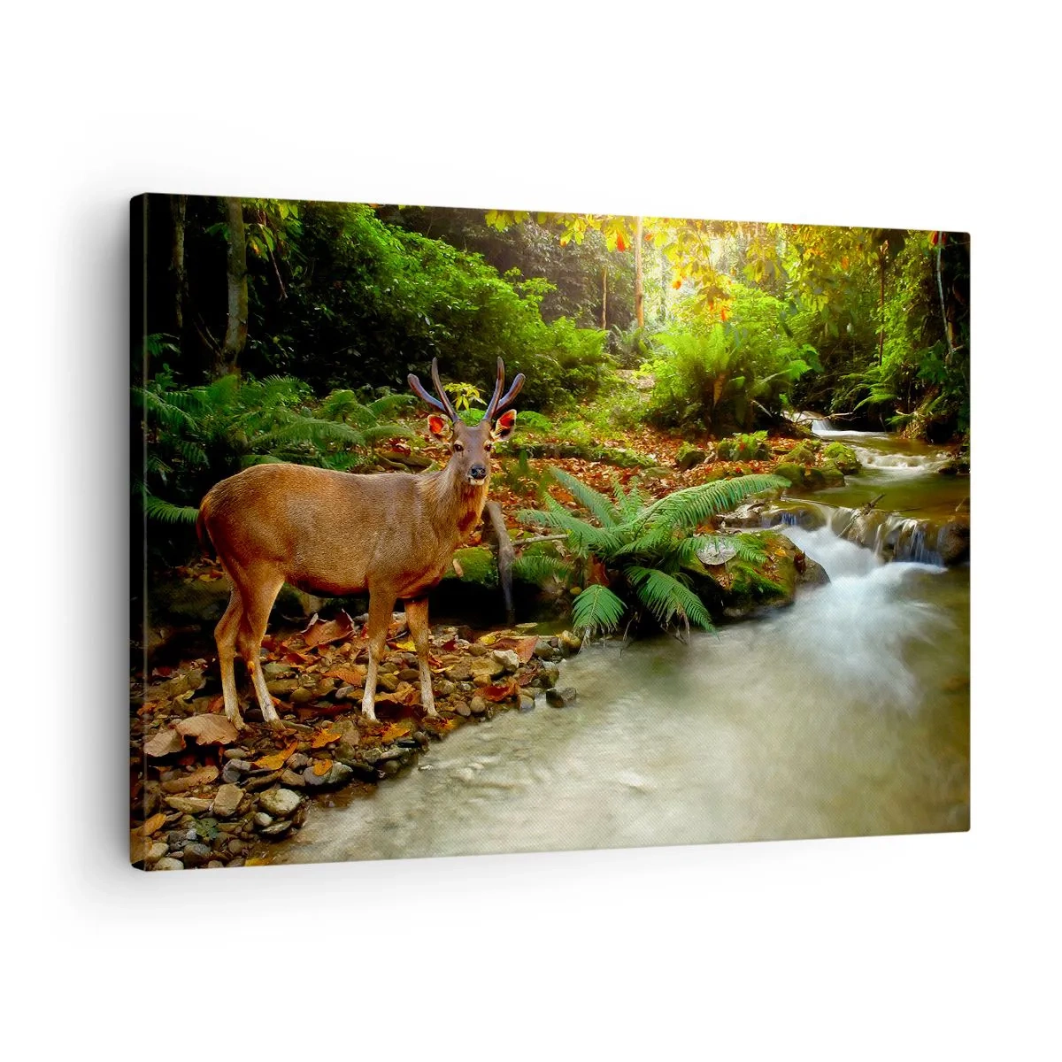 Quadro em tela - Um veado perto de um riacho cercado por vegetação na floresta - 70x50cm - Bem-vindo ao meu mundo - Decoração de parede moderna para a sala de estar e quarto ARTTOR