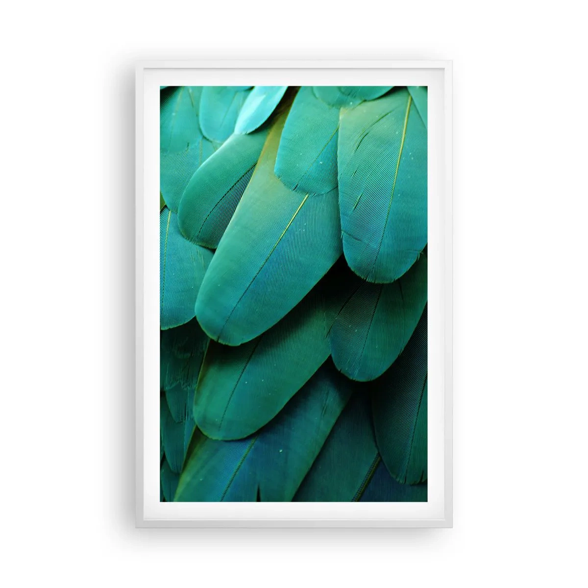 Pôster em moldura branca - Precisão de papagaio - 61x91 cm