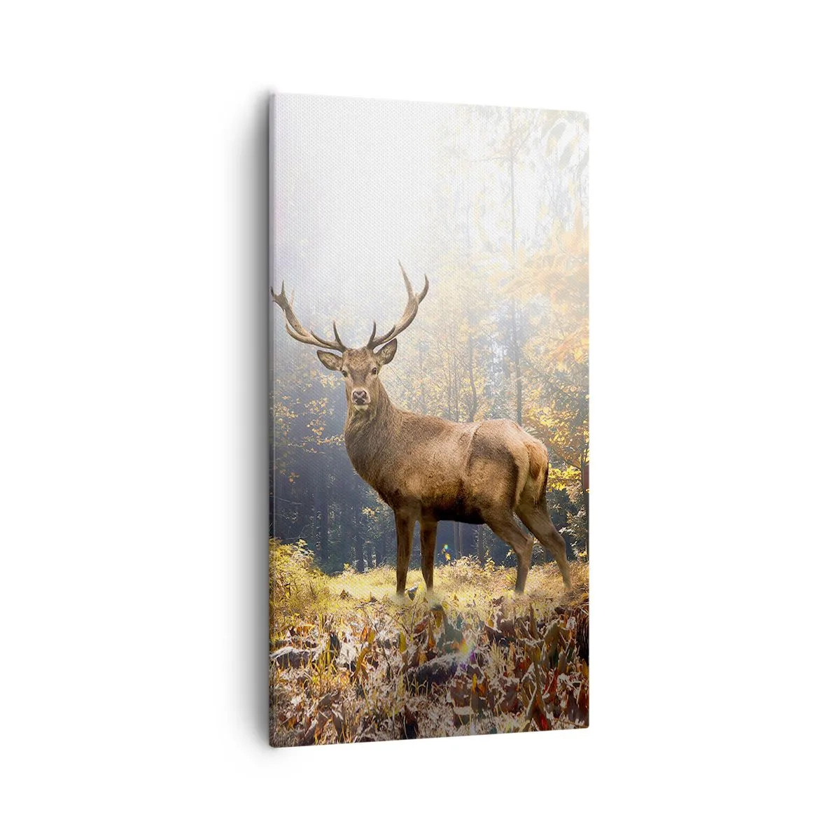 Quadro em tela - Em plena majestade - 55x100 cm