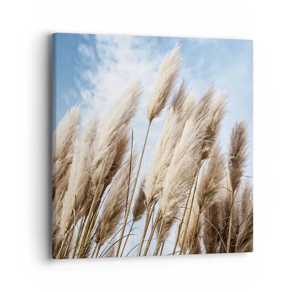 Quadro em tela - Carícia ensolarada e ventosa - 40x40 cm