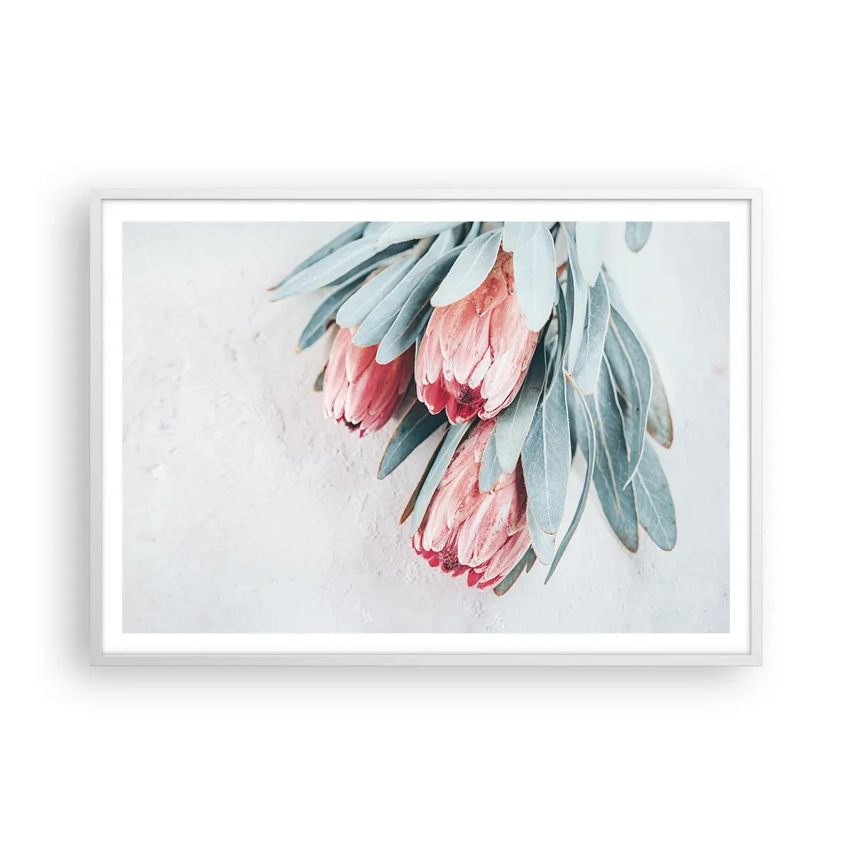 Pôster em moldura branca - Envergonhadas da sua própria beleza - 100x70 cm