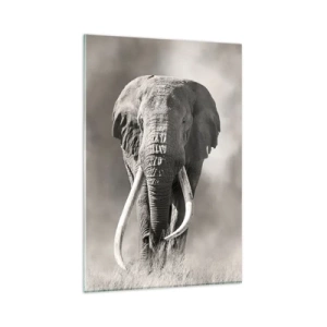 Quadro em vidro - Patriarca africano - 80x120 cm