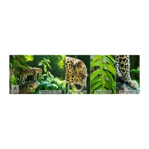 Amostra de papel de parede Premium Sand - Vamos caçar? - Selva, leopardo, Trópicos - 100x30 cm