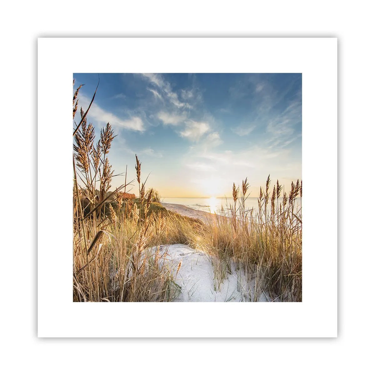 Pôster - Praia do Norte - 30x30 cm